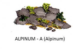 alpinum