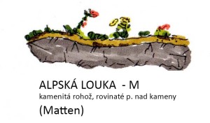 alpská louka