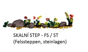 skalní step