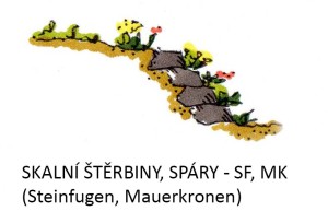 skalní štěrbiny