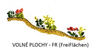 volne plochy